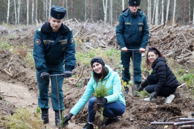Молодые специалисты Чаусского района приняли участие в посадке леса