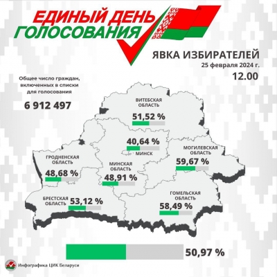 ЦИК: явка избирателей на выборах депутатов на 12.00 составила 50,97%