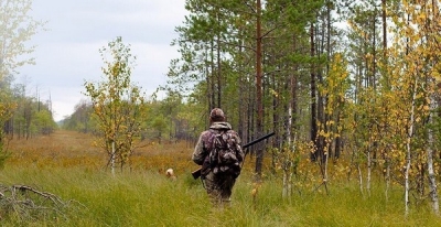 В Беларуси откроется осенне-зимний сезон охоты на пушных зверей