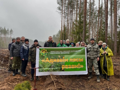 Жители Чаусского района активно принимают участие в республиканской благотворительной акции «Аднавім лес разам!»