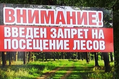 Министерство лесного хозяйства Республики Беларусь призывает граждан отказаться от посещения лесов до начала дождей