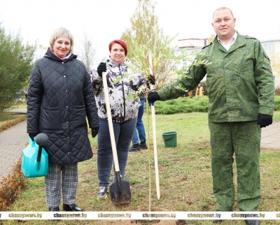В рамках Единого дня озеленения в Чаусах высажены 150 кустарников и 120 деревьев