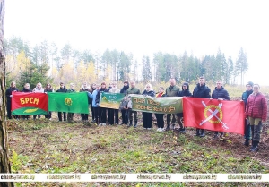 Молодые специалисты Чаусского района присоединились к акции &laquo;Дай лесу новае жыццё&raquo;