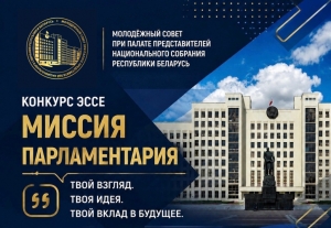 Миссия парламентария