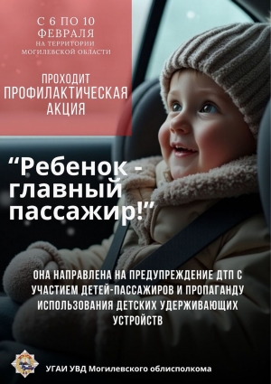 С сегодняшнего дня на Могилёвщине проходит профилактическая акция ГАИ. За что можно получить штраф?