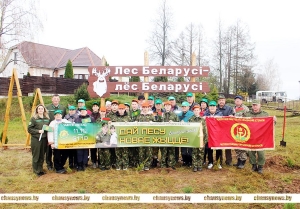 В Волковичах появился новый красивый мини-парк