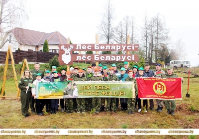 В Волковичах появился новый красивый мини-парк