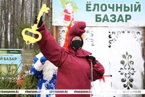 С сегодняшнего дня в Чаусах начинает работу ёлочный базар. Спешите купить новогоднюю красавицу