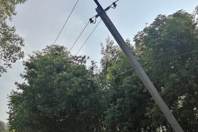В Кузьминичах Чаусского района после ночной грозы есть повреждения двух опор линий электропередач