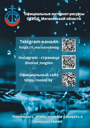 Официальные Интернет-ресурсы ОСВОД Могилевской области