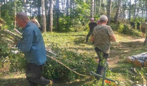 Жители Чаусского района вместе преодолевают последствия стихии