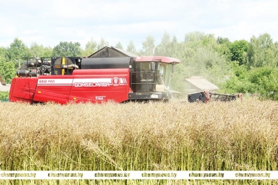 В ОАО &ldquo;Агросервис&rdquo; г. Чаусы продолжается уборочная кампания