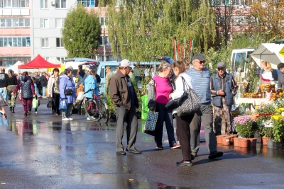 Ярмарка “Золотая осень” развернулась на городской площади Чаус в день “Дожинок”