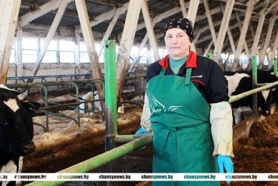 Ольга Карпина из ОАО &laquo;УльяновскоеАгро&raquo; трудится в сфере животноводства уже порядка 40 лет