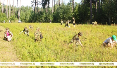 Как в Чаусском лесхозе трудится экологический студенческий отряд &laquo;Лесной дозор&raquo;?