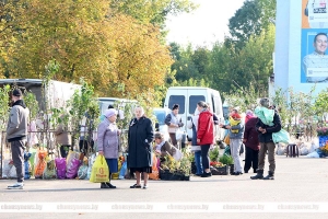 Покровская ярмарка пройдёт в Чаусах 18 октября