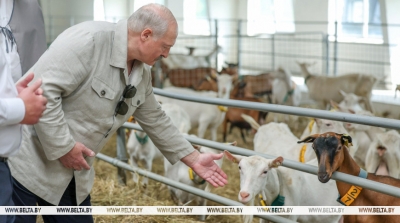 "Почему не интенсифицировать процесс?" Лукашенко поставил принципиальные вопросы в сфере козоводства