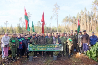 Руководство Чаусского района вместе с молодежью восстанавливают лес после стихии