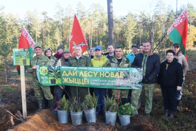 Руководство Чаусского района и представители организаций региона приняли участие в посадке леса