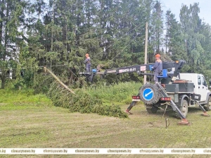 Снова июльская стихия. Рассказываем о последствиях в Чаусском районе