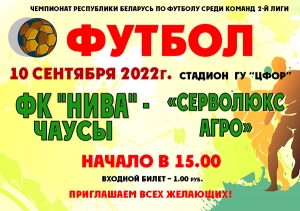 Футбол