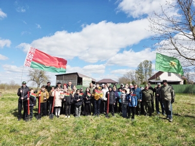В знак памяти о Чернобыльской трагедии возле Волковичского лесничества высадили парк памяти