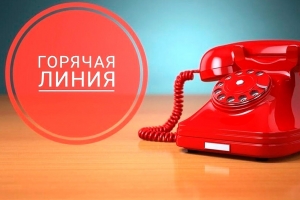 Могилевским облисполкомом 28&nbsp;сентября 2026 года будет проводиться тематическая горячая линия по&nbsp;вопросу качества оказания почтовых услуг населению на&nbsp;территории Могилевской области